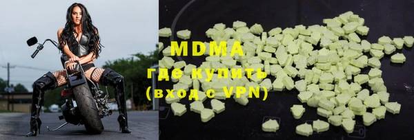 индика Алексин