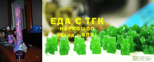 индика Алексин