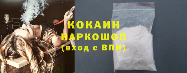 индика Алексин
