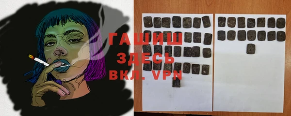 индика Алексин