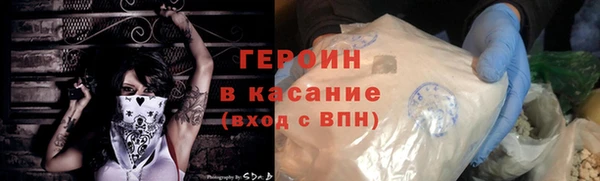 индика Алексин