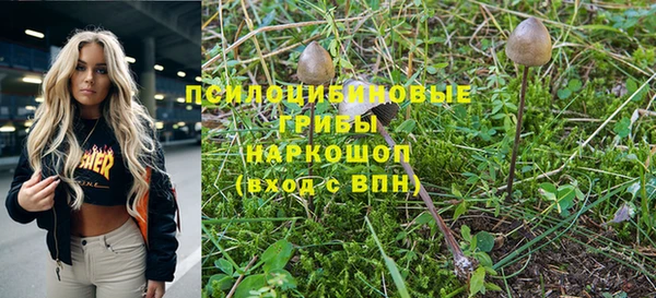 героин Алзамай