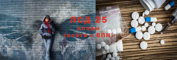 индика Алексин