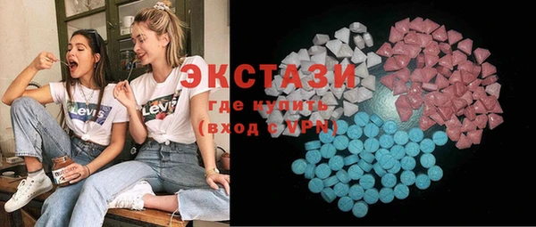 индика Алексин