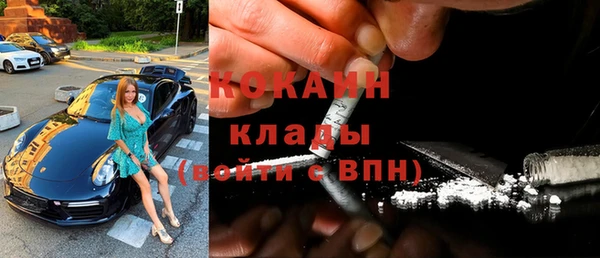индика Алексин