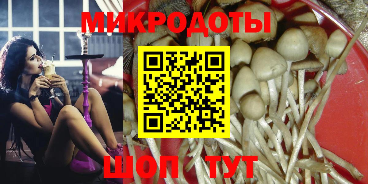 Псилоцибиновые грибы Cubensis  Вход с VPN  Пермь 