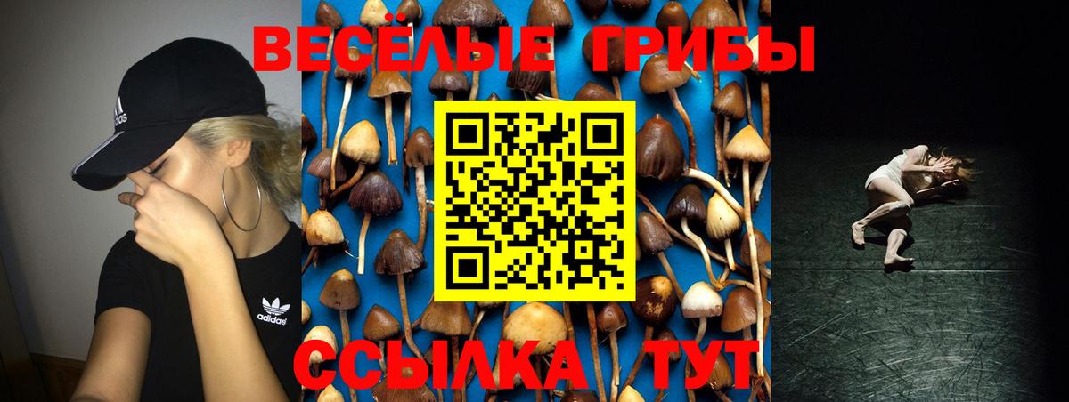 Псилоцибиновые грибы MAGIC MUSHROOMS Пермь